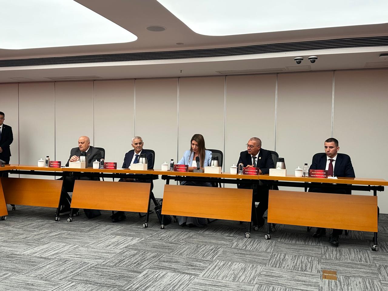Azerbaijan, China expand experience-sharing in energy sector (PHOTO)
