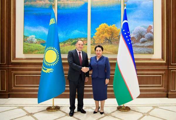 Uzbekistan, Kazakhstan step up parliamentary dialogue