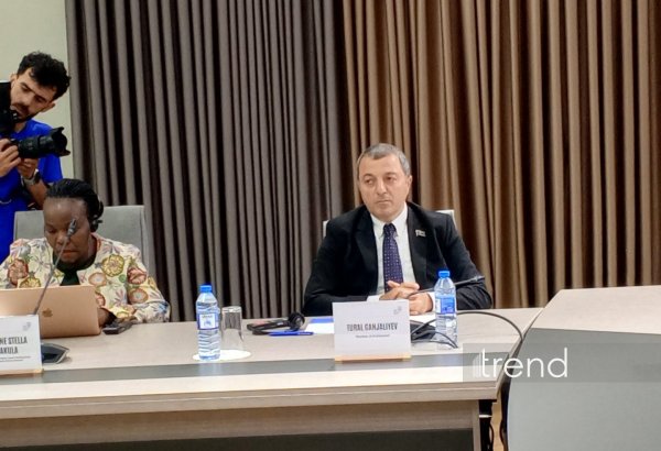 Azerbaijani MP highlights importance of recognition of Belgium’s colonial history