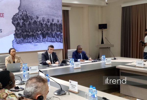 Congolese official calls for return of historical materials to origins