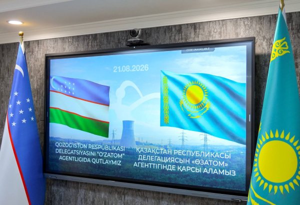 Uzbekistan, Kazakhstan strengthen dialogue on nuclear safety