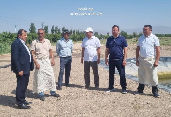 Uzbekistan, Tajikistan expand scientific cooperation in cotton farming