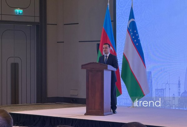7 projects worth $500M under review by Azerbaijan-Uzbekistan Investment Company - minister