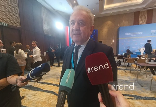 Voter turnout in Kazakhstan’s Kurultai elections is quite high - Turkish ambassador