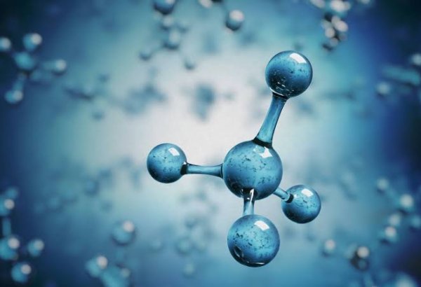 Turkmenistan develops biopreparation to curb methane emissions in soil