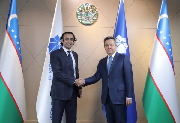 Uzbekistan, Pakistan seek to boost IT services and startup ties