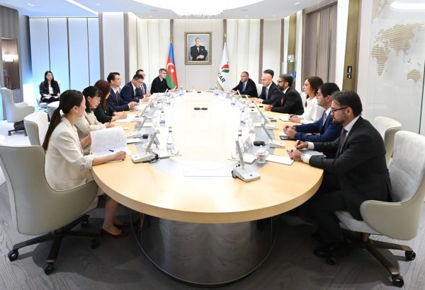 Azerbaijan's SOCAR, Export-Import Bank of China discuss energy cooperation