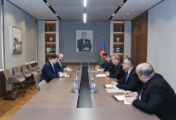 Azerbaijani FM receives newly appointed Austrian ambassador (PHOTO)