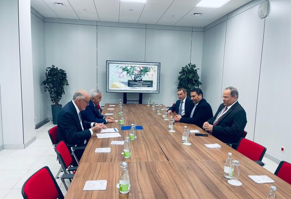 Azerbaijan, Bahrain discuss economic and energy cooperation (PHOTO)