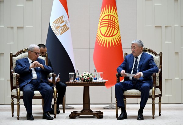 Kyrgyzstan, Egypt discuss expanding bilateral cooperation