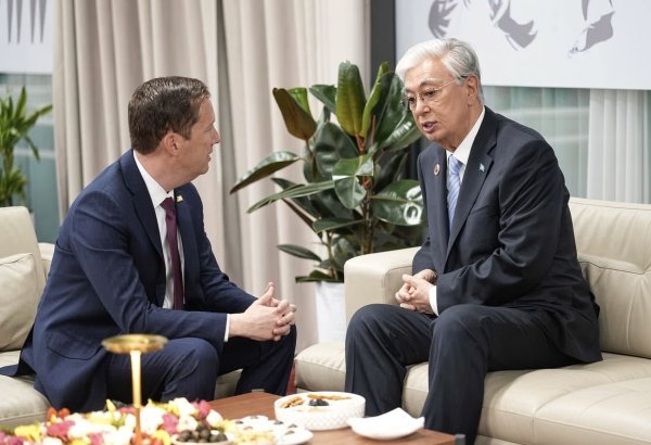 US-Kazakhstan commercial ties hit record levels - US envoy