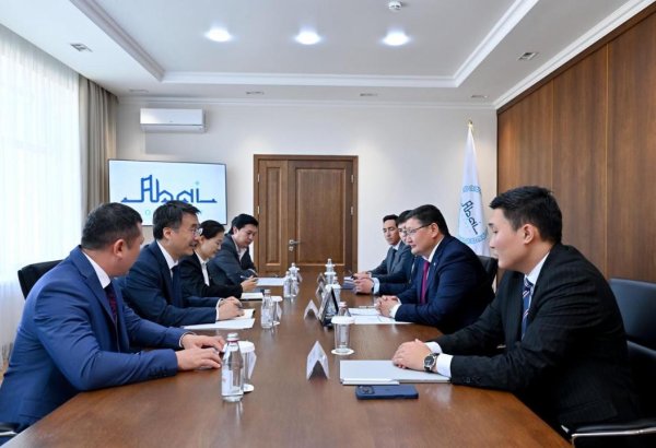 China's company proposes wind, solar projects in Kazakhstan's Abai region