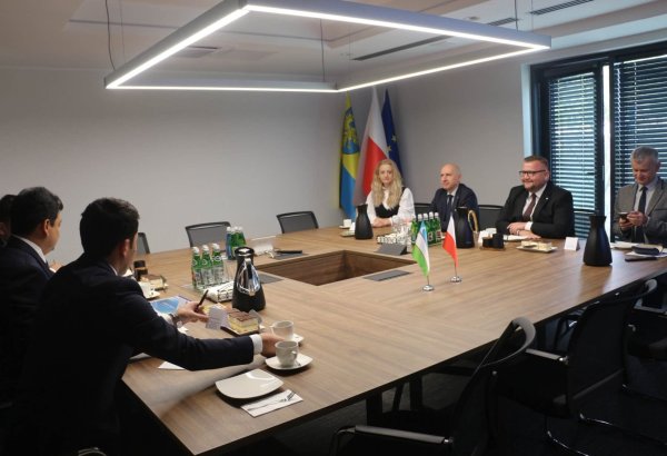 Uzbekistan, Poland’s Opolskie Region discuss expanding economic ties