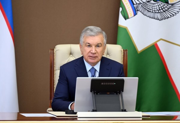 Uzbekistan moves to boost local content in key nuclear power project