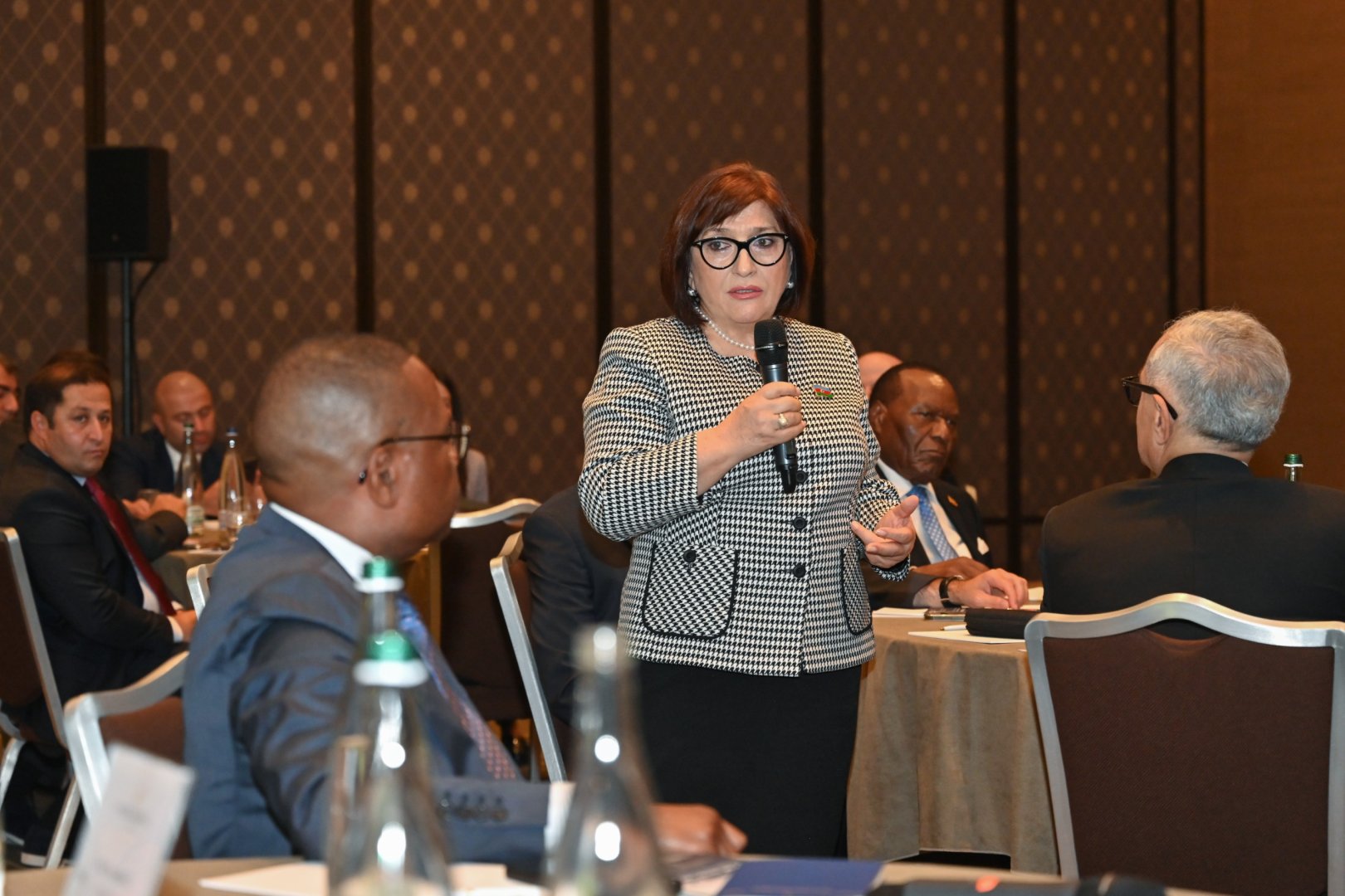 Azerbaijani speaker highlights crucial role of parliamentary diplomacy in Geneva (PHOTO)