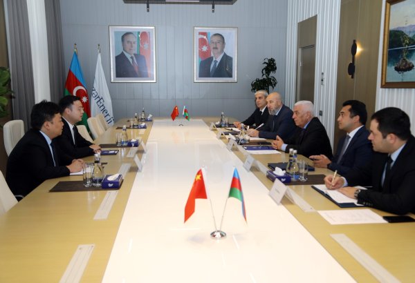 Azerbaijan, China discuss cooperation in renewables (PHOTO)
