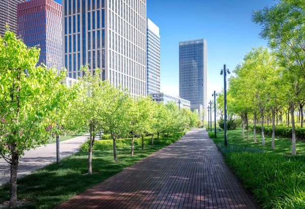 Uzbekistan's Tashkent, Samarkand join FAO Green Cities Network