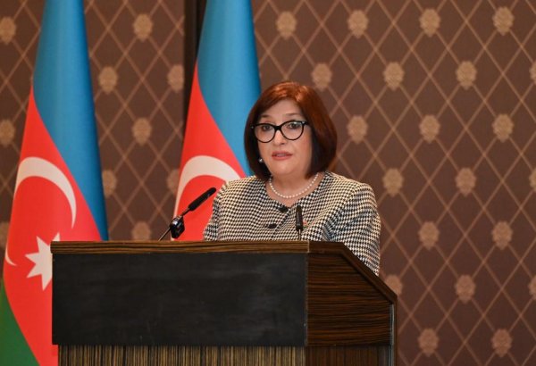 Azerbaijani speaker highlights crucial role of parliamentary diplomacy in Geneva (PHOTO)