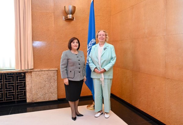 Azerbaijan's Parliament Speaker holds talks with UN Geneva chief (PHOTO)