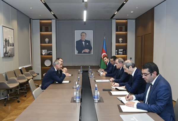 Azerbaijani MFA briefs OSCE PA President on peace process with Armenia (PHOTO)