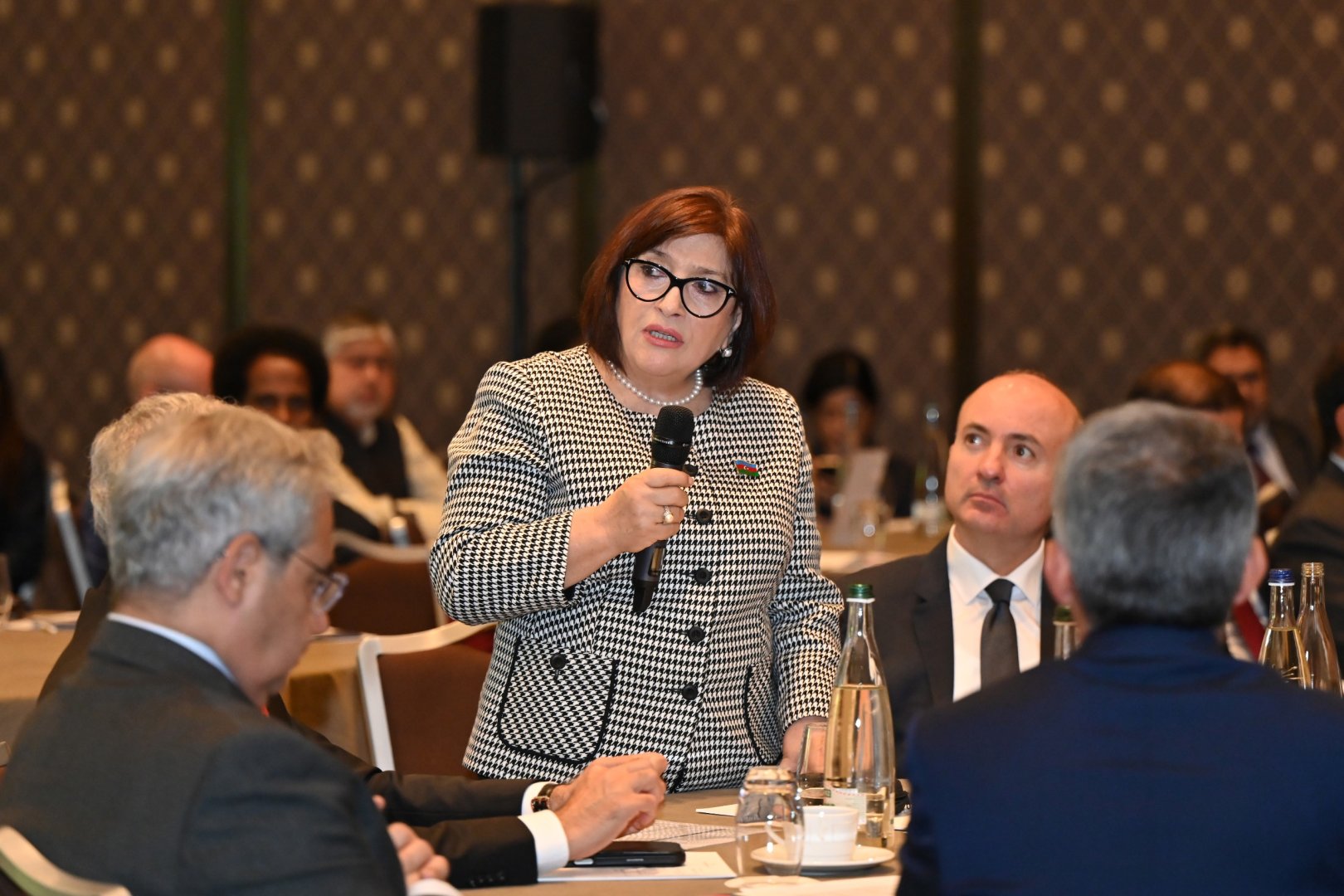 Azerbaijani speaker highlights crucial role of parliamentary diplomacy in Geneva (PHOTO)