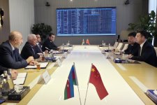 Azerbaijan, China discuss cooperation in renewables (PHOTO)