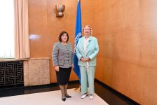 Azerbaijan's Parliament Speaker holds talks with UN Geneva chief (PHOTO)