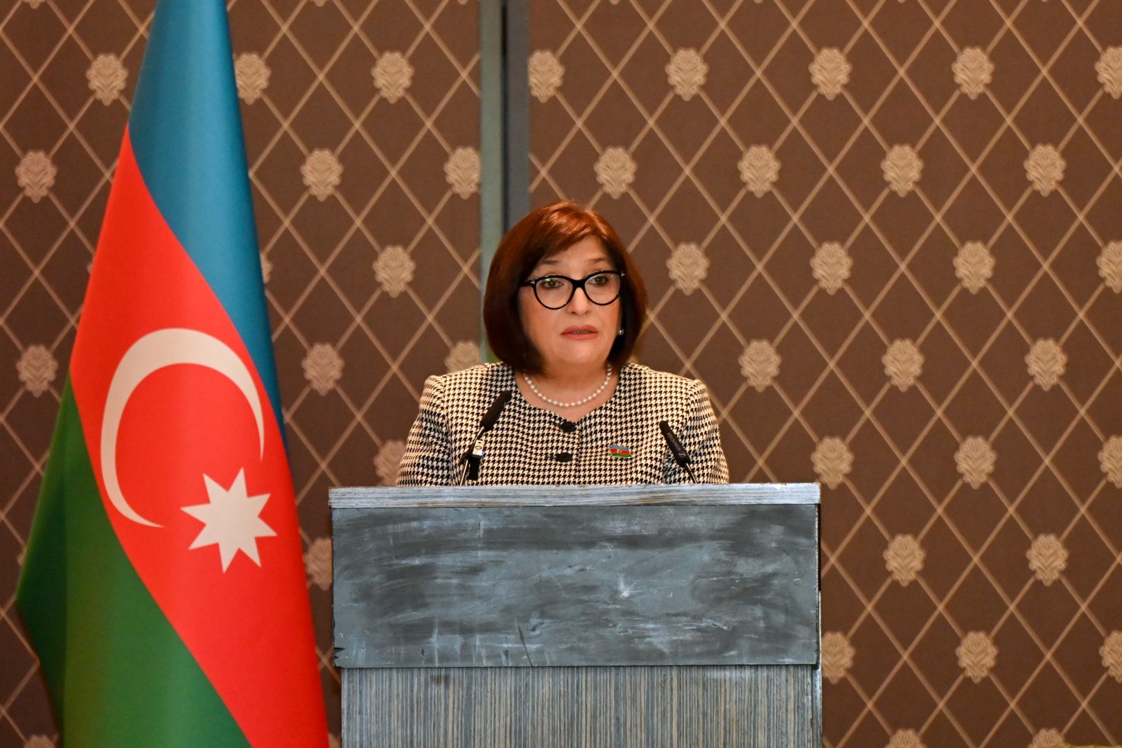 Azerbaijani speaker highlights crucial role of parliamentary diplomacy in Geneva (PHOTO)