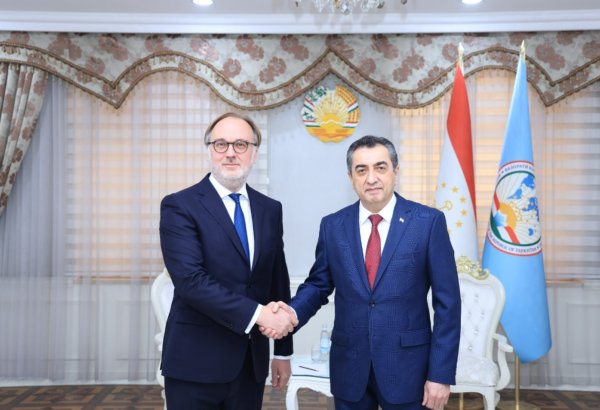 Tajikistan, France discuss prospects for developing bilateral relations