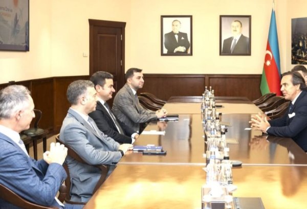 Azerbaijan, Brazil discuss development of cooperation in aviation sector