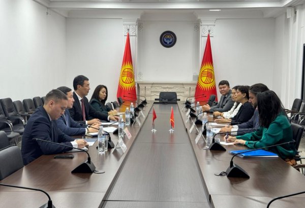 Kyrgyzstan, Montenegro seek to simplify mutual travel conditions