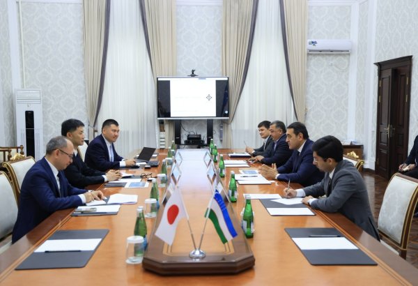 Uzbekistan’s Fergana, Japan's Mitsui step up investment cooperation