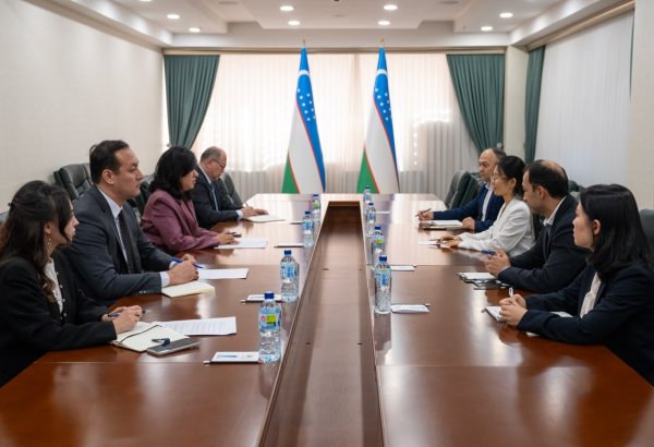 Uzbekistan, S. Korean KOICA review new AI, digitalization initiatives