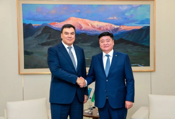 Uzbekistan, Mongolia advance Aral-Gobi land restoration partnership