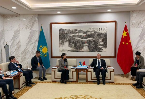 Kazakhstan, China discuss boosting agricultural product supplies