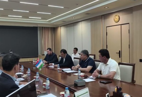 Uzbekistan, Chinese companies explore joint investment projects in Tashkent