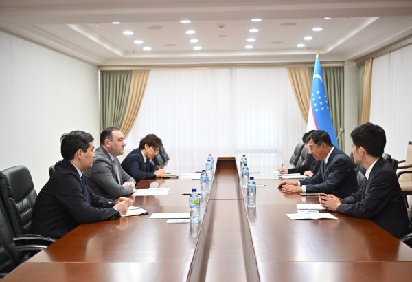 Uzbekistan, Japan coordinate new steps to strengthen partnership