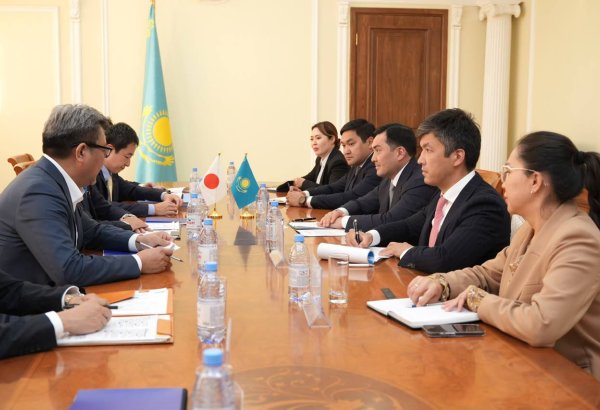 Kazakhstan seeks to attract Japanese companies to green energy projects