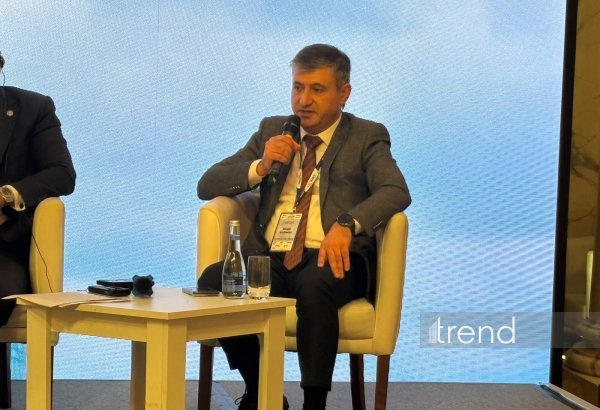 Azerbaijan to expand electronic permit exchange with more countries by year-end - ABADA