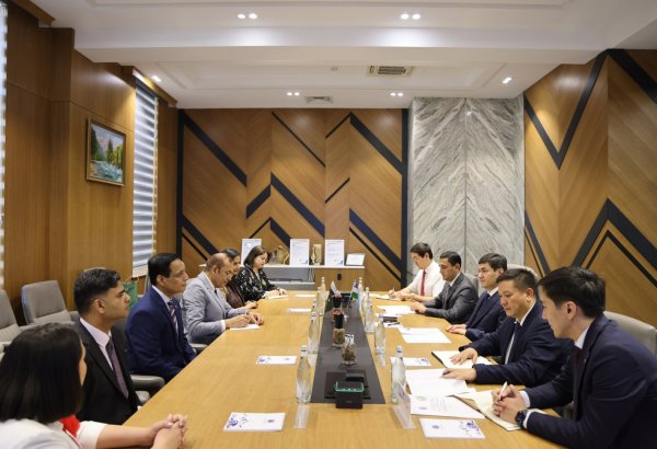 Uzbekistan, Pakistan’s NUST explore cooperation in geology, mining