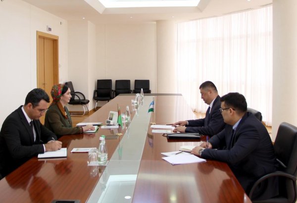 Turkmenistan, Uzbekistan discuss trade-economic ties