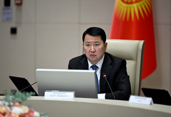 Kyrgyzstan to boost agricultural production and processing development