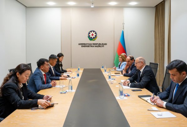 Azerbaijan, ROX Energy Global discuss wind and solar power projects (PHOTO)