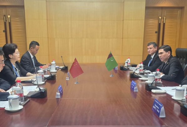 Turkmenistan, China discuss new areas of migration cooperation