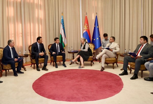 Uzbekistan, Serbia step up cooperation on Middle Corridor