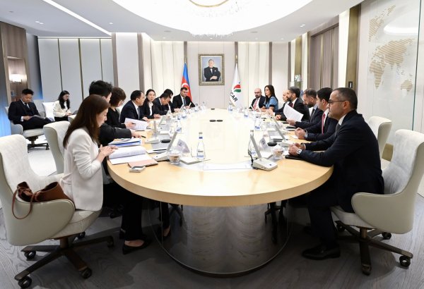 Azerbaijan, China discuss development of energy cooperation (PHOTO)