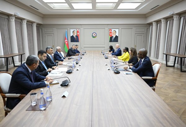 Azerbaijan and World Bank discuss long-term efficient partnership (PHOTO)