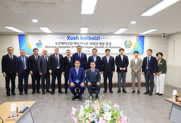 Uzbekistan's Fergana eyes Seoul’s innovation model to drive investment growth
