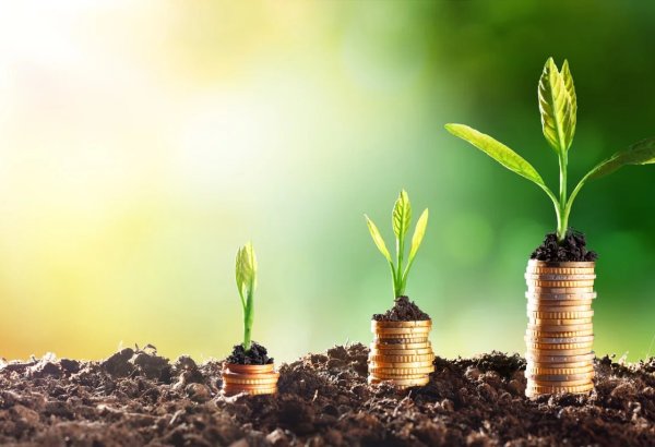 Uzbekistan’s agriculture sector sees 54% jump in foreign investment