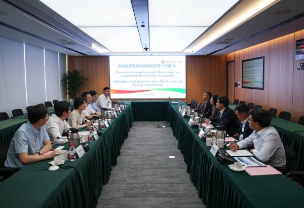 Kazakhstan, China advance $1.2B wind power project in Pavlodar